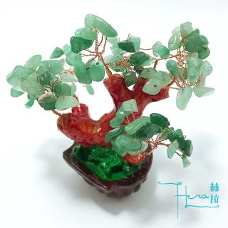 【HERA 赫拉】HERA事業得意東菱玉招財樹/發財樹