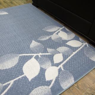 【範登伯格】日本 青田抗菌地毯(80x150cm/共兩色)