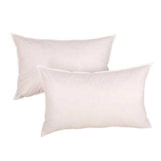 【遊遍天下】MIT臺灣製舒眠羽絨枕(二入)