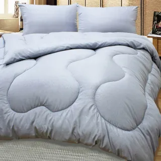 【巴麗維亞】頂級雙人保暖竹炭被(6*7尺 台灣精製 冬被 棉被)