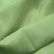 【M.B.H―夢幻方格】緹花防潑水桌巾(草綠140x180cm)