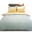 【LUST】素色簡約  極簡風格/黃綠 、 100%純棉/6尺精梳棉床包/歐式枕套 《不含被套》(台灣製造)
