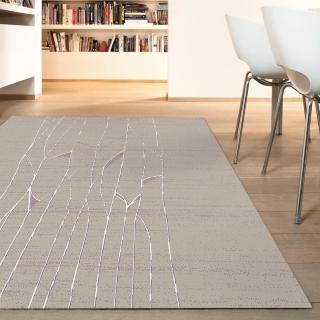【範登伯格】比利時 夏蔓柔光絲質感地毯-溫沙(160x230cm)