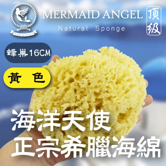 天然海綿