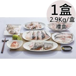 【天和鮮物】澎湖優鮮認證龍虎斑全魚分切禮盒1盒(2.9kg/盒)