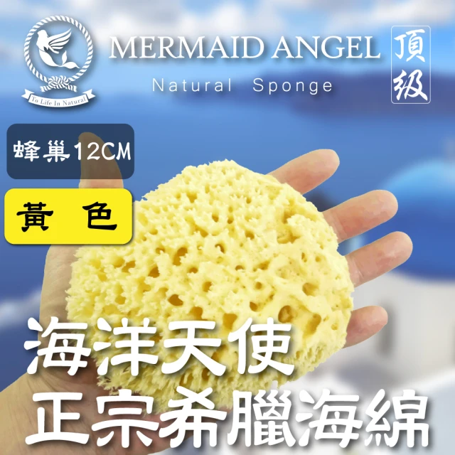 天然海綿