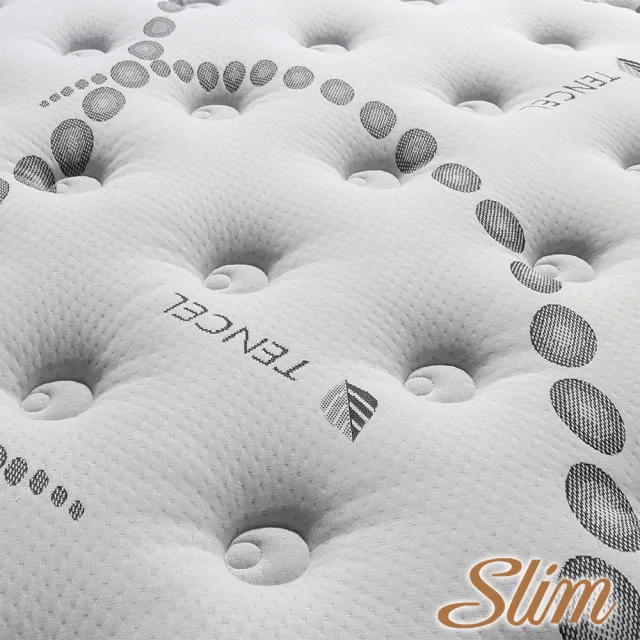 【SLIM 紓壓型】天絲記憶膠銀離子抗菌獨立筒床墊(雙人5尺)