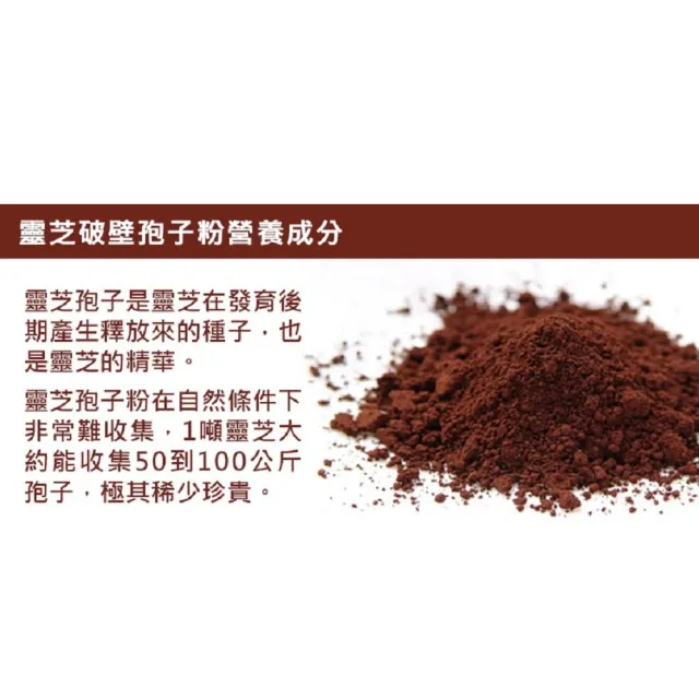 【草本之家】破壁靈芝孢子粉3入組(120粒/入)(靈芝子實體.靈芝孢子粉)