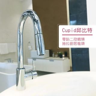 【AQuaSync】水美 · 邱位元無鉛兩段鵝頸抽拉廚房龍頭(龍頭)