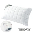 【TENDAYS】備長炭床包型保潔墊枕套床包組合(加大雙人三件組-6尺+枕套X2)