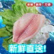 【賣魚的家】台灣新鮮鯛魚片特惠10片組(150-200G/片*5片+200-250G/片*5片)