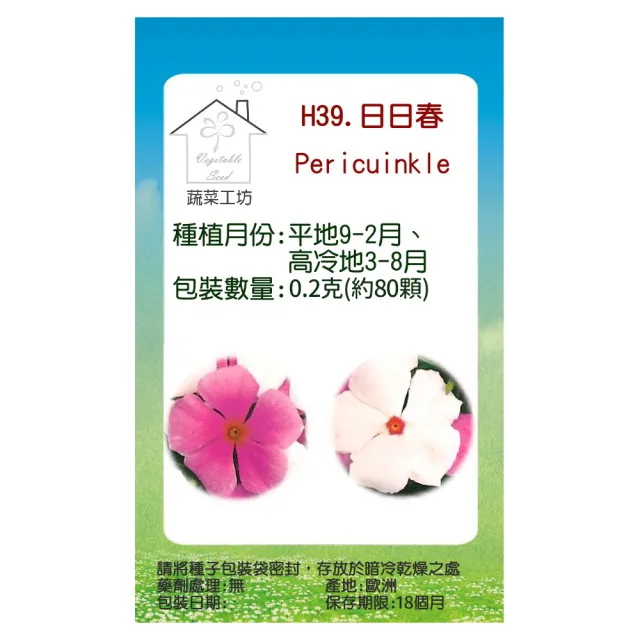 【蔬菜工坊】H39.日日春種子(混合色高45-60cm)