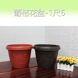 【生活King】葡桔花盆/花槽/盆栽-1尺6(2入組)