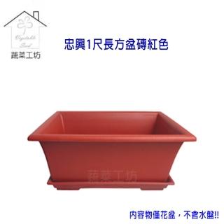 【蔬菜工坊】忠興1尺長方盆 磚紅色