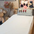 【棉床本舖】台灣製 床包式-防水保潔墊 加大180X186cm(物理性防水 不添加化學藥劑 抗菌防螨防污)