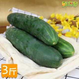 【鮮採家】臺灣特級鮮脆胡瓜 大黃瓜(3臺斤)