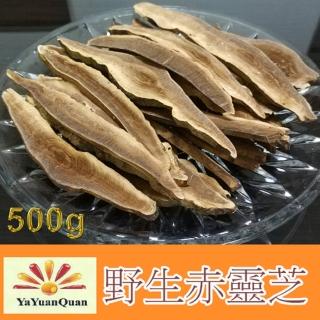 【亞源泉】野生赤靈芝500gx2包(贈亞源泉系列商品2包)