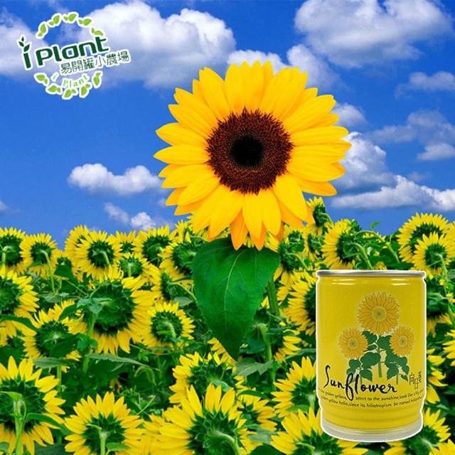 【iPlant】易開罐頭小農場-向日葵(內含種子培養土肥料花盆)