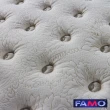 【FAMO 法摩】Coolfoam馬鬃涼感高密度獨立筒床墊(單人加大3.5尺)