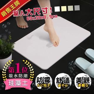 【收納王妃】限時特賣款 超吸水珪藻土地墊(60x39x0.9cm)