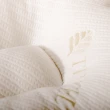 【Embrace 英柏絲】2入 Tencel天絲特柔軟 可水洗 舒鼾枕 蝶形枕 人體工學 MIT台灣製造(可以洗的枕頭)