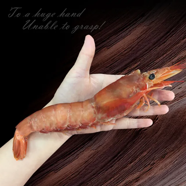【築地一番鮮】刺身用頂級XL巨無霸天使紅蝦原裝1盒(2kg/盒)