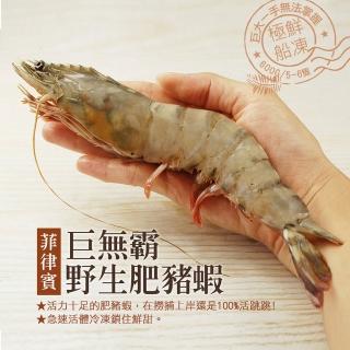 【築地一番鮮】特大肥滋滋野生肥豬蝦4盒(6-8隻/盒)