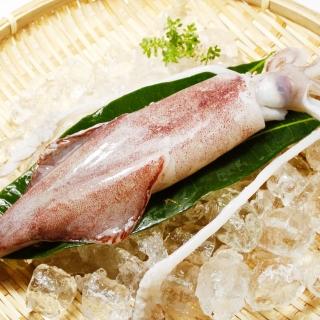 【那魯灣生鮮&幸福小胖】新鮮現撈活凍透抽 6尾(長21～30cm/300g/尾)
