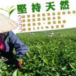 【惠鑽銓】台灣高山比賽工法茶精選150gx10盒(共2.5斤)