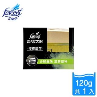 【去味大師】車內消臭易-檸檬薄荷(120g)