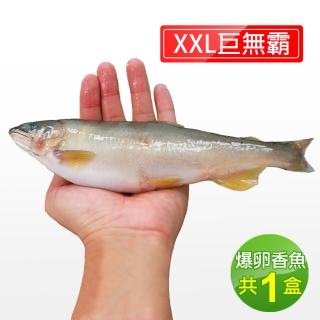 【築地一番鮮】宜蘭特選巨無霸XXL爆卵母香魚1盒(5尾/920g/盒)