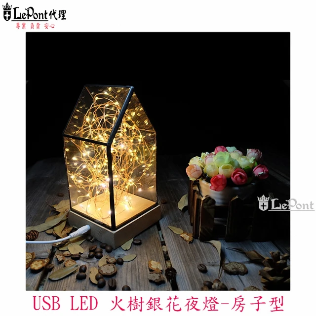 【LEPONT】LED USB火樹銀花夜燈-房子型