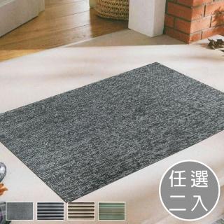 【范登伯格】魯伯PVC刮泥止滑地墊-二入組(45x70cm/四款任選)