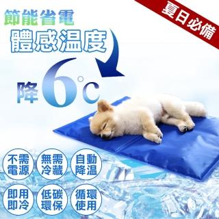 【寵物夢工廠】寵物冰墊XL號90*50cm(貓狗冰墊/人寵可用/筆電散熱/涼墊/狗窩/貓床)