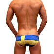 【Neptune Scepter海神權杖】超低腰立體剪裁三角泳褲(F13瑞典)