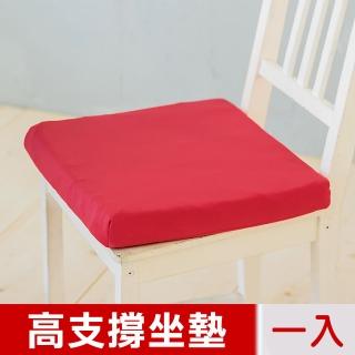 【凱蕾絲帝】臺灣製造-久坐專用二合一高支撐記憶聚合紓壓坐墊(棗紅-一入)
