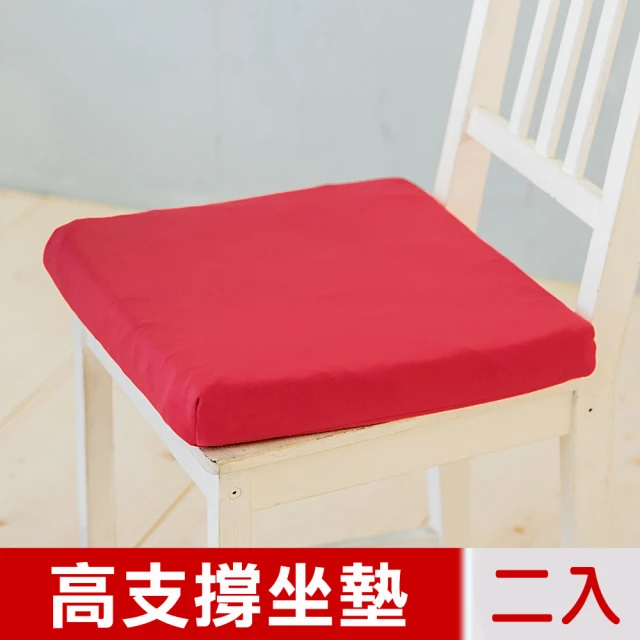 【凱蕾絲帝】台灣製造-久坐專用二合一高支撐記憶聚合紓壓坐墊(棗紅-二入)
