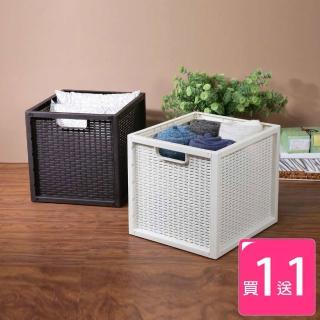 【KEYWAY 聯府】卡特藤蔓風深型收納置物籃30L-1入(買一送一)