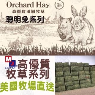 【MJ CLEVER DOG】聰明兔 高優質 牧草系列 提摩西草/甜燕麥草/苜蓿草/果園草(2.7磅/盒 兔子牧草 寵物牧草)