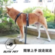 【ELITE PET】經典反光 運動牽繩 60CM M/L(紅/藍/黑)
