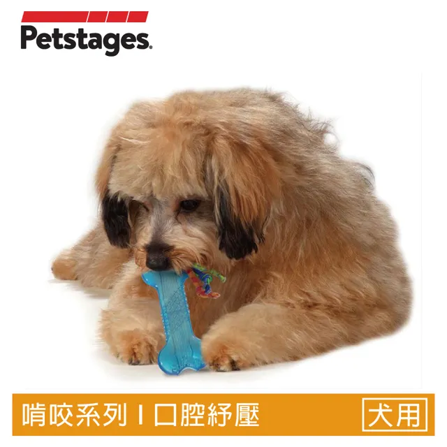 【Petstages】歐卡迷你耐咬骨頭(潔牙 耐咬 防水 狗玩具)