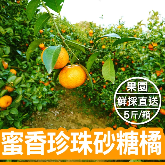 【台灣鮮果】蜜香珍珠砂糖橘(5斤裝/箱)