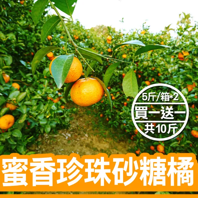 蜜香珍珠砂糖橘(5斤/箱-共10斤)