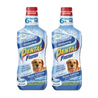 【美國潔牙白Dental Fresh】深層美白潔牙液 503ml(2入組)