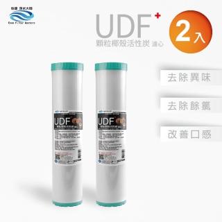 【怡康】全屋過濾濾心 20吋大胖UDF椰殼活性碳濾心2入(本商品不含安裝)