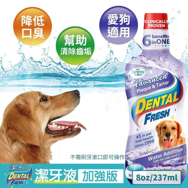 【美國潔牙白Dental Fresh】加強版潔牙液 237ml(2入組)