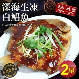 【築地一番鮮】野生一本釣白鯧魚2尾(約500g/尾)