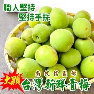 【WANG 蔬果】臺灣南投信義鄉大顆青梅(10斤/箱)