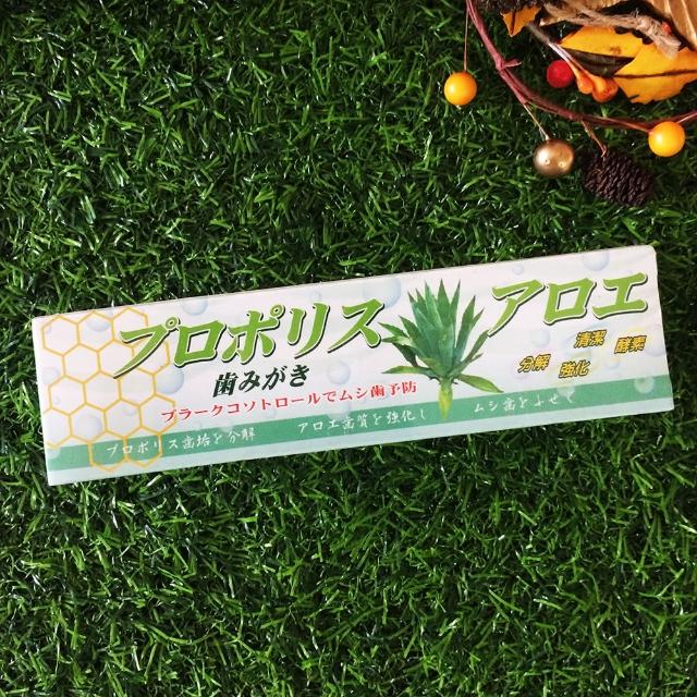 【自然時記】蜂膠蘆薈保健牙膏110gx1支