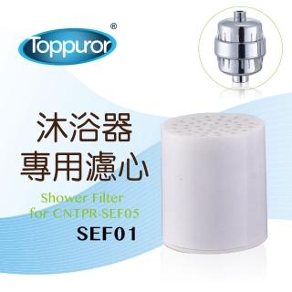【Toppuror泰浦樂】電鍍沐浴淨水器專用濾心(SEF01)